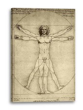 Tela/Cornice Leonardo Da Vinci