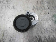 TENDICINGHIA AUSILIARIA /