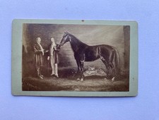 Antico CDV Trotting Horse