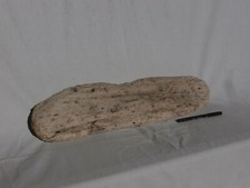 XL Grande legno di mare chiaro