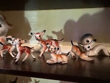 porcellana famiglia 5