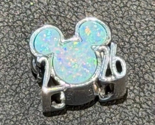 2026 disney parks new year - 2026,