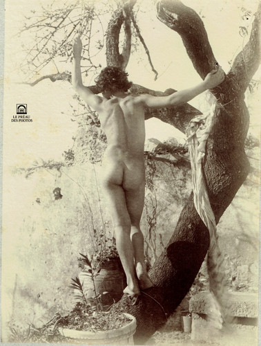Photo baron von gloeden - photo,