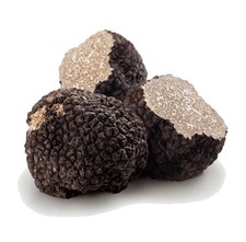 Tartufo Nero fresco -