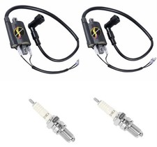 Ignition Coils & Spark Plug