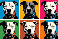 Targa in latta retrò PIT BULL