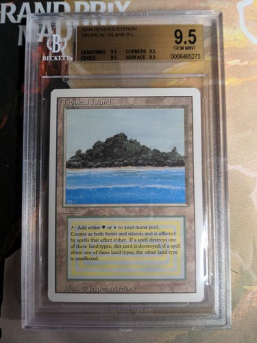 Bgs quad tropical island - tropical,