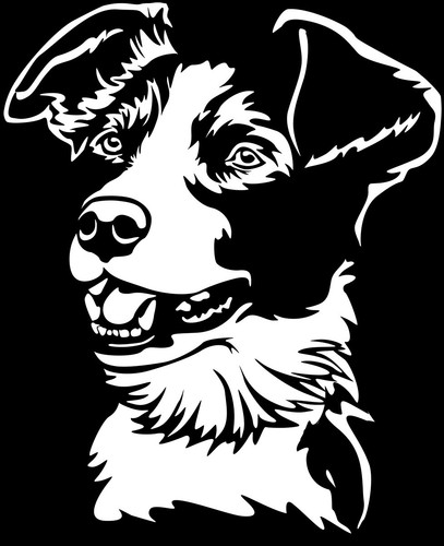 Adesivo border collie - adesivo,