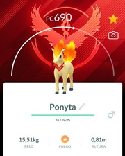 Ponyta Candela Valor