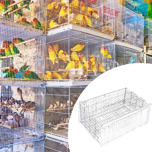 Gabbia trappola per - gabbia,