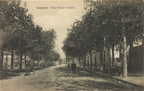 Np6040 benevento viale - np6040,