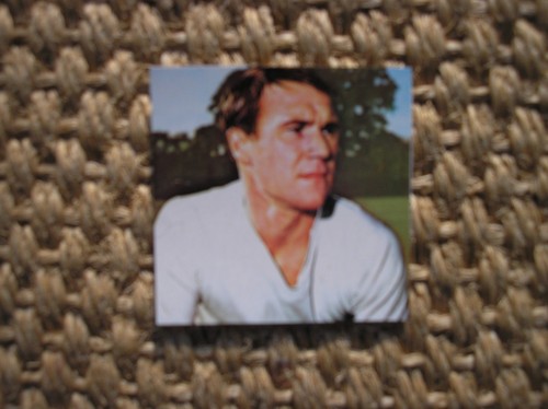 Ray wilson everton figurina - ray,
