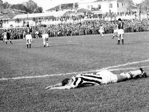 Foto john charles juventus - john,