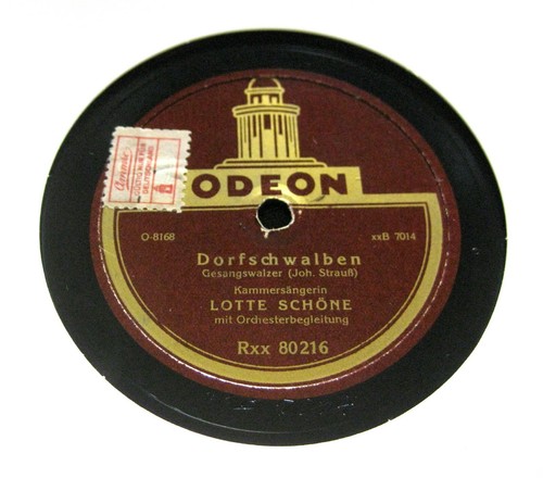 Lotto belle rondini paese - rondini,