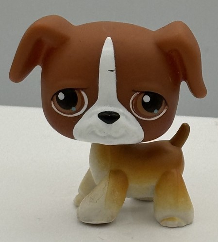 Littlest pet shop boxer lps - littlest,