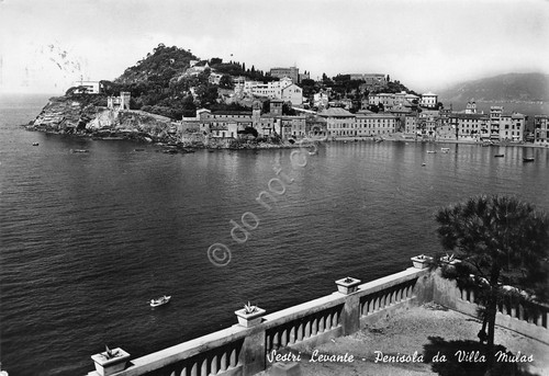 Cartolina sestri levante - cartolina,