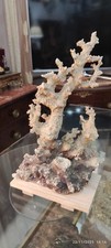 Decorazione per acquario - decorazione,