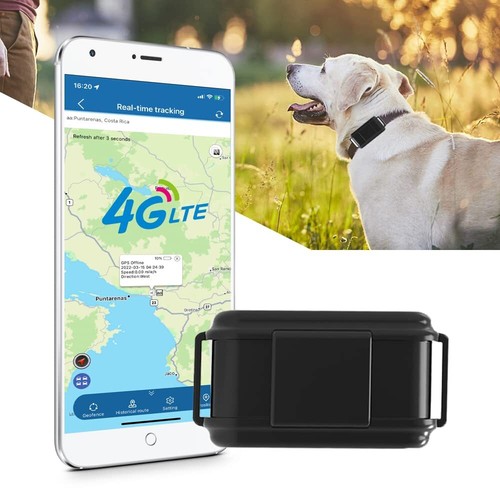 Tkmars collare gps per - tkmars,