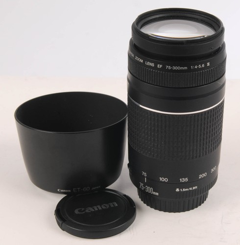 Canon obiettivo 300 mm - 75-300,