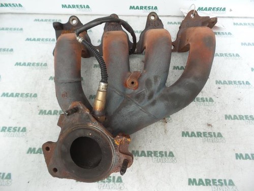 Collettore scarico renault - scarico,