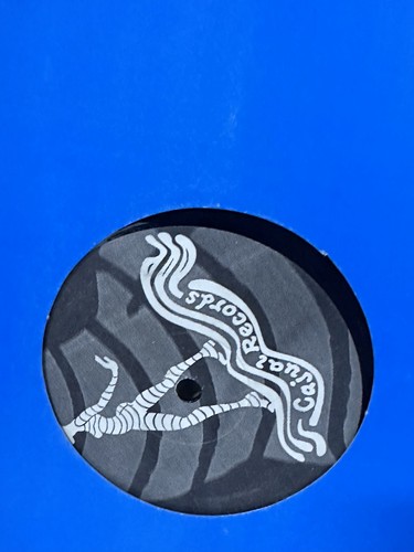X12 inch deep house - 8,