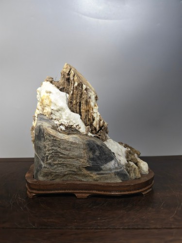 1117 bonsai suiseki cinese - suiseki,