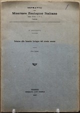 opuscolo intorno alla fossetta faringea del cranio umano con figura 1920 medico