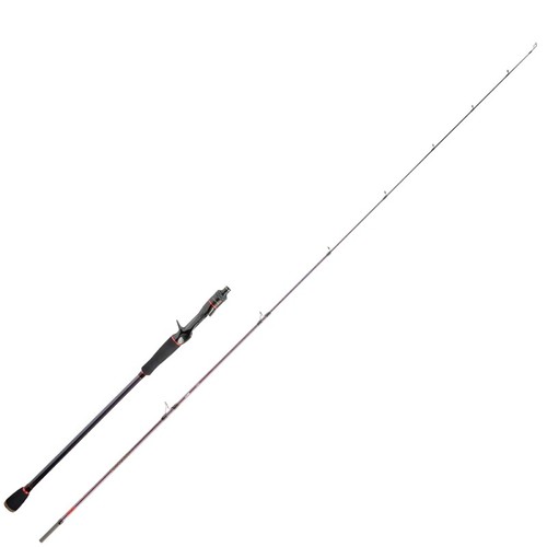 Canna falcon fearless - canna,