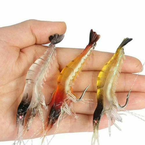 Esche pesca gamberetti - da,