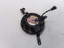 TRIUMPH STREET TRIPLE R