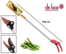 FORBICE DA POTATURA RACCOGLI