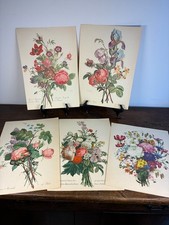 5 Stampe Vintage di Piante e