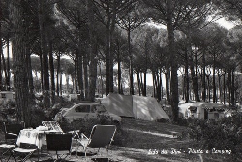 Lido dei pini pineta - dei, -pineta