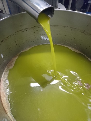 Olio extravergine oliva - di,
