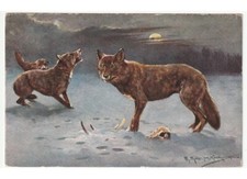 arte in cartolina - M. Muller