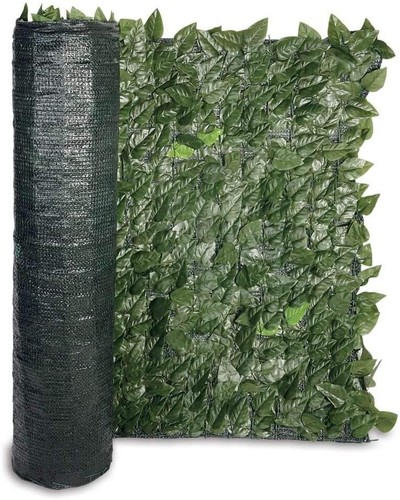 Verdelook sempreverde lauro - sempreverde,