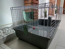 Gabbia Per Porcellini D'india E Conigli