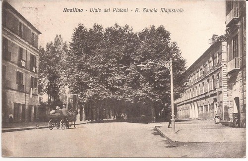 Avellino viale dei - ,