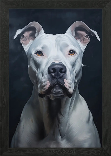 Quadro bianco dogo argentino - quadro,