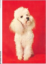 AKVP9-0705-CANE - Un