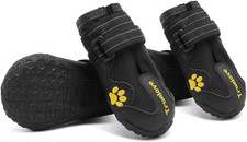 Truelove - Scarpe Da Cane