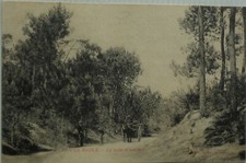 La Baule 44 CPA Il Bois