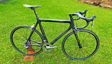 Colnago President 50th
