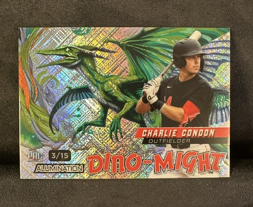 2024 wildcard dino might - wildcard, dino-might