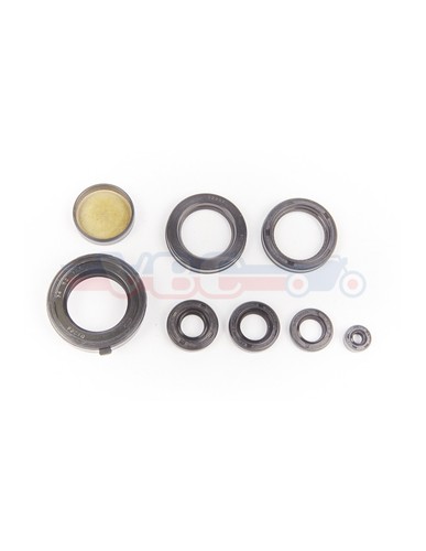 Kit guarnizioni spi - kit,