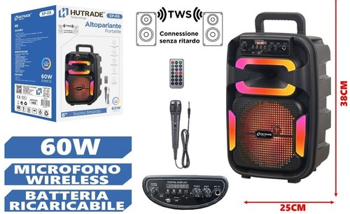 Cassa amplificata 60w karaoke - amplificata,