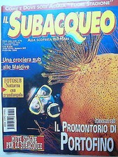 Subacqueo    n.309  feb  1999