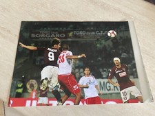 Foto cartonata Torino Rolando