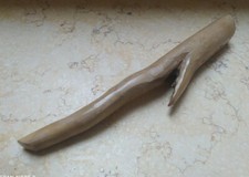 Corallo naturale raro ramo 165