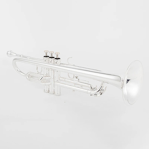 Tromba strumento tuning - tromba,